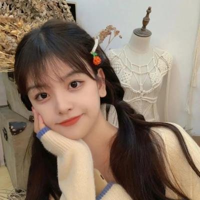 龙拳小子